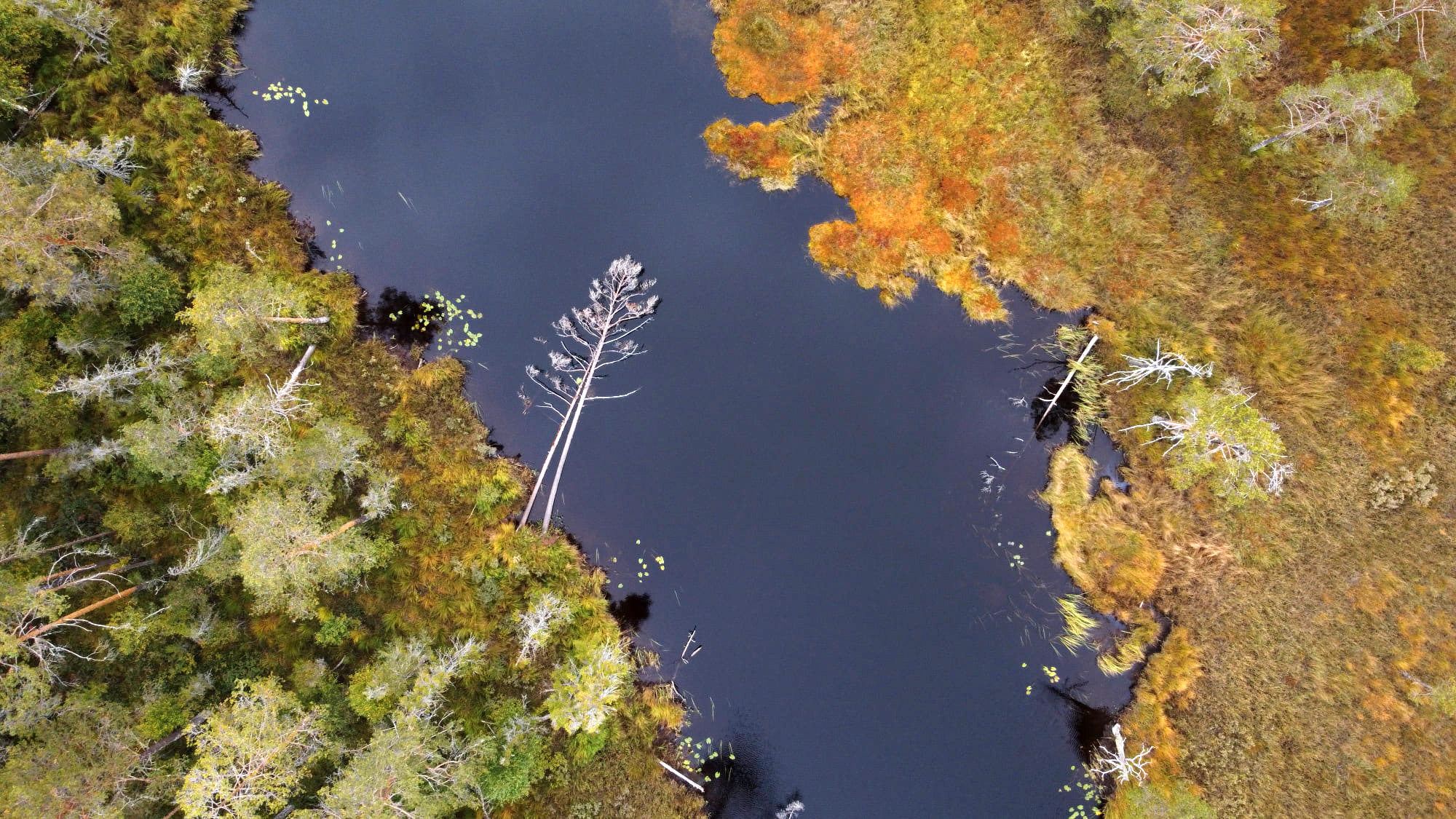 Read more about the article Tap av natur: Områder på størrelse med 7000 fotballbaner bygges ned årlig