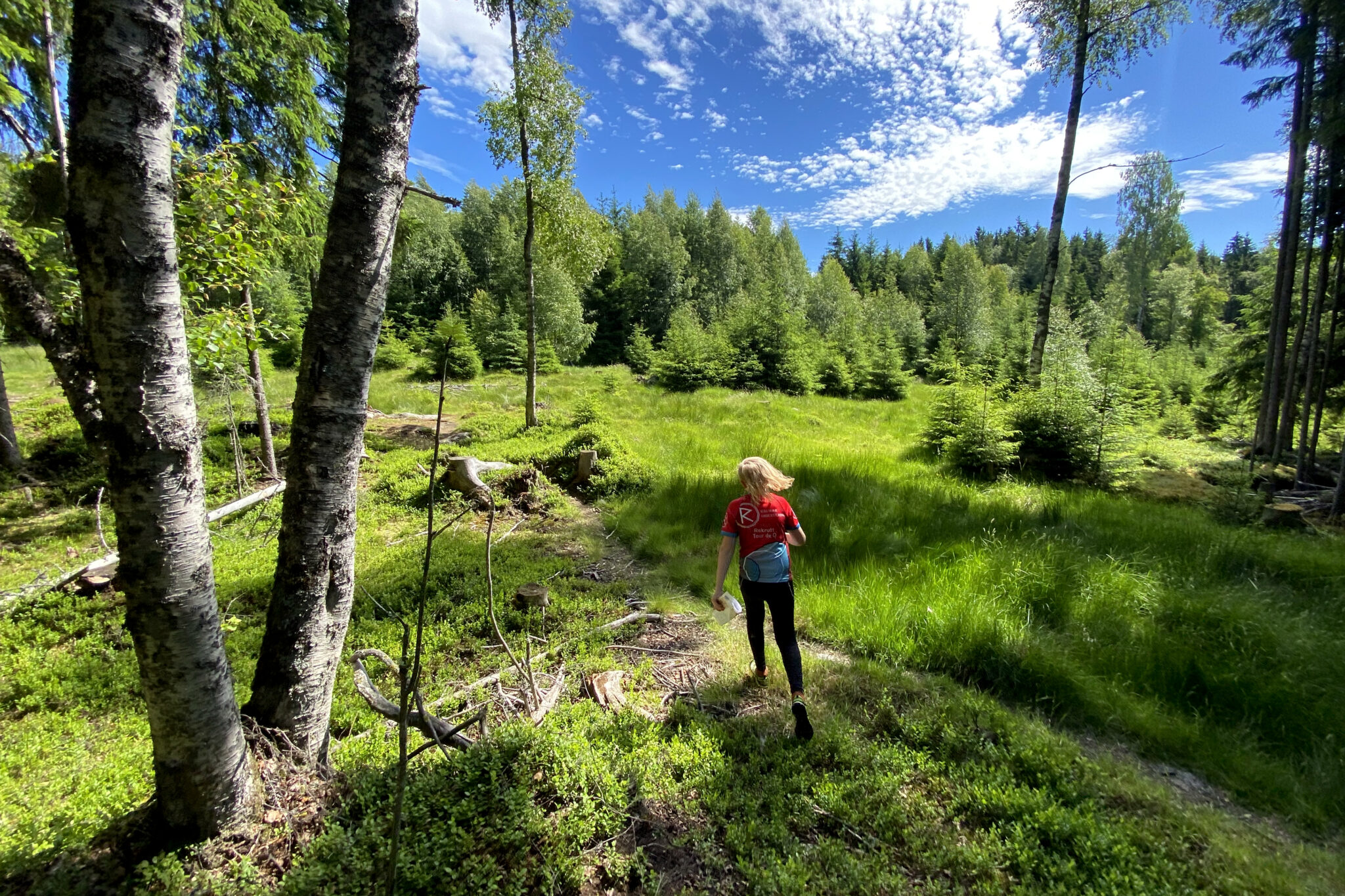 Read more about the article Lag detaljerte turkart gratis: Mobilapp med sporing eller detaljerte papirkart