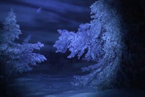 Read more about the article Kaldeste desember på ti år. Minus 35,9 grader årets kaldeste.