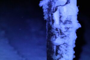 Read more about the article Syns du det har vært kaldt i mars? Du er ikke alene.