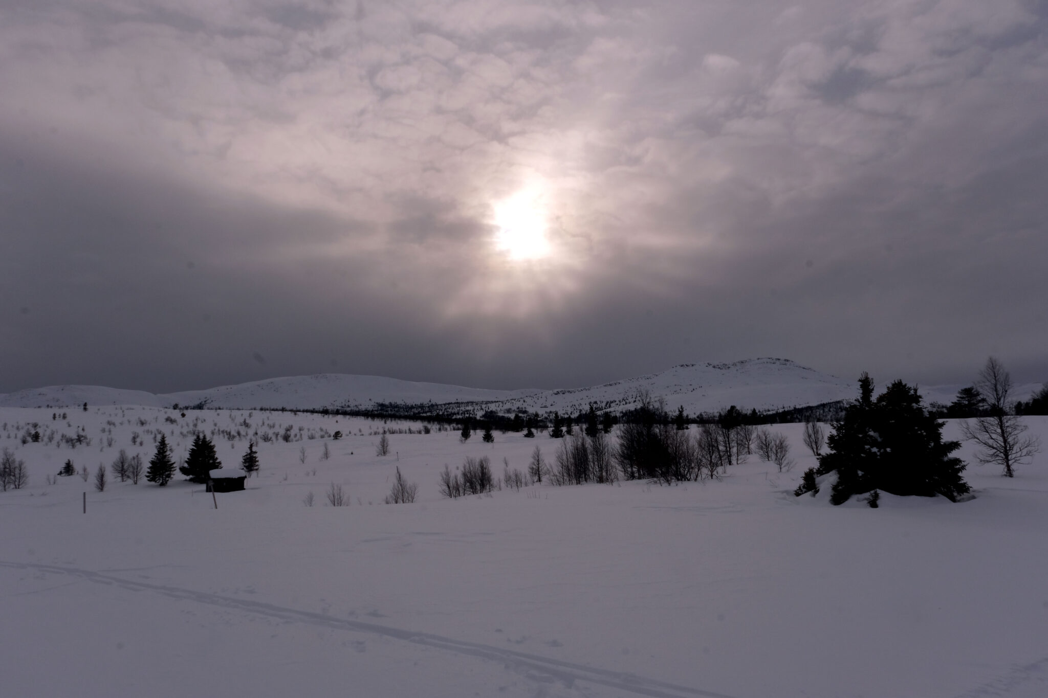 Read more about the article Snøen som kom i mars, redder påsken i nord