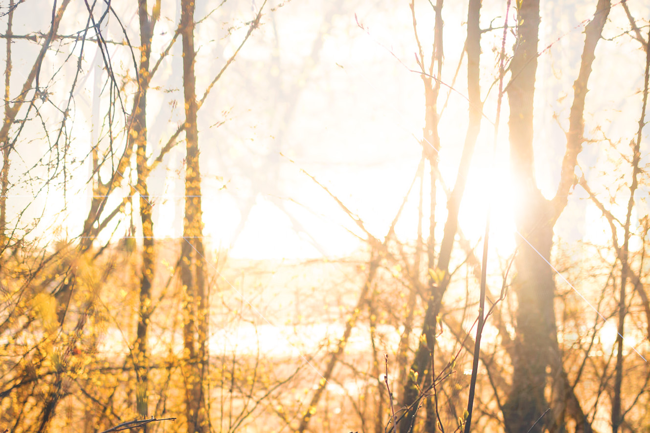 Read more about the article Uvanlig varmt: Aldri før er det målt tropevarme så sent