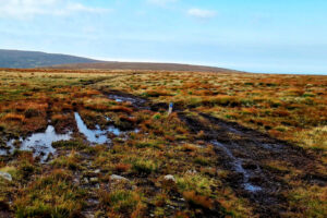 Read more about the article Flere kontroller: – Motorferdsel på barmark har store konsekvenser for naturen