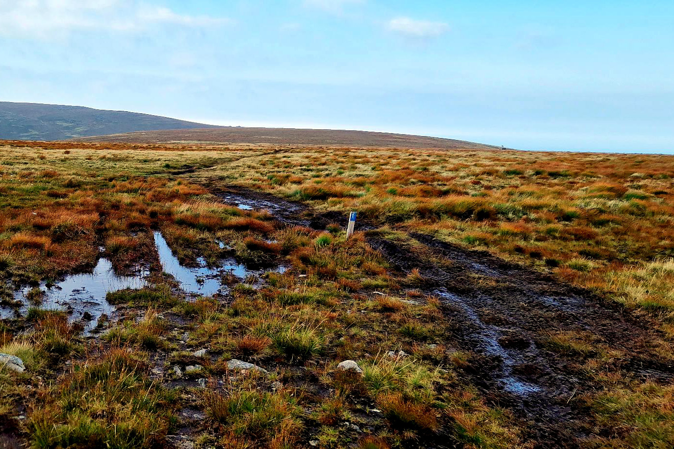 Read more about the article Flere kontroller: – Motorferdsel på barmark har store konsekvenser for naturen