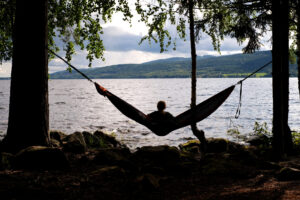 Read more about the article Naturen forsvinner: 7 av 10 vil stoppe tap av natur med nye markagrenser