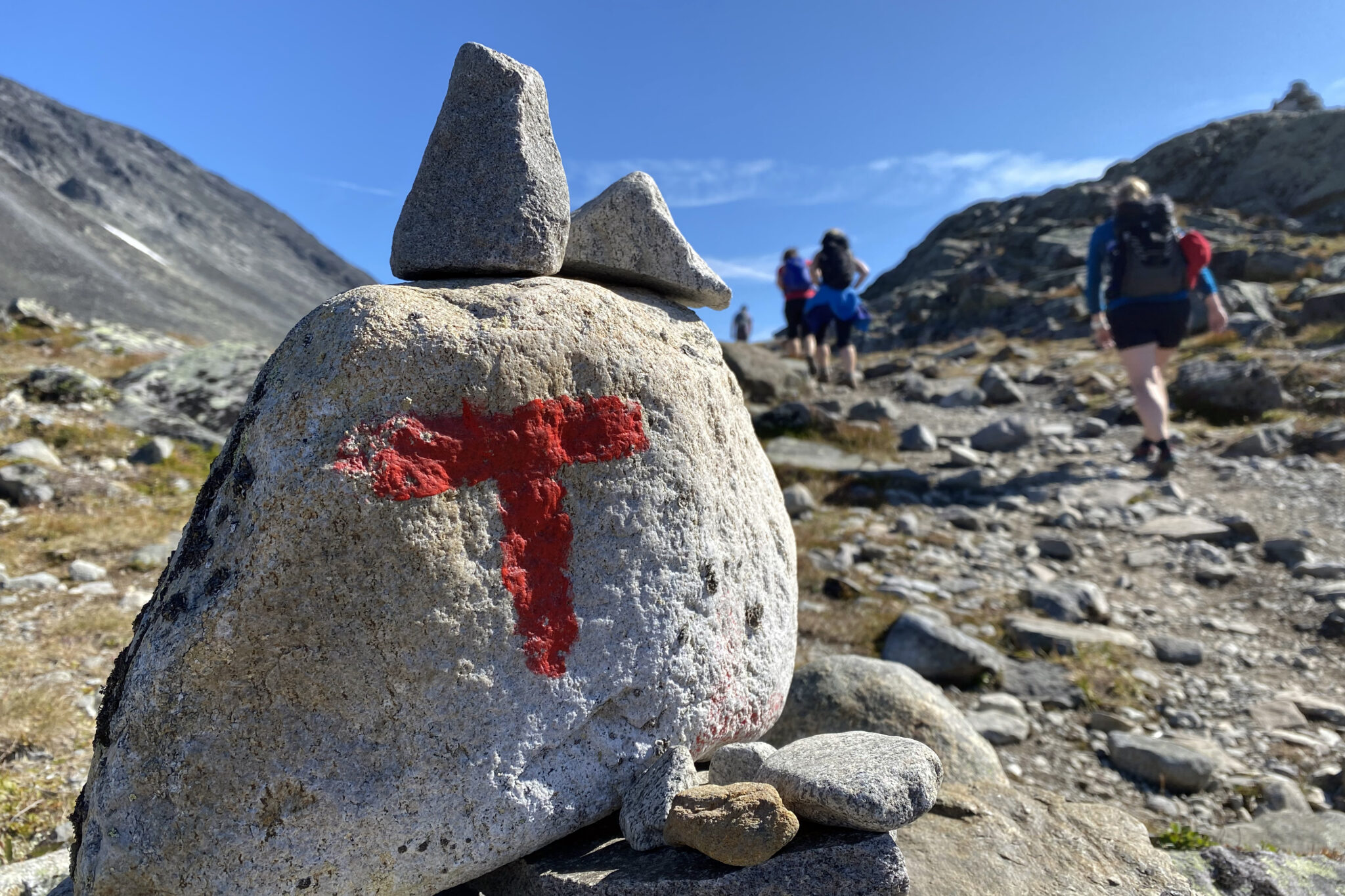 Read more about the article Hvem bruker egentlig de norske nasjonalparkene?