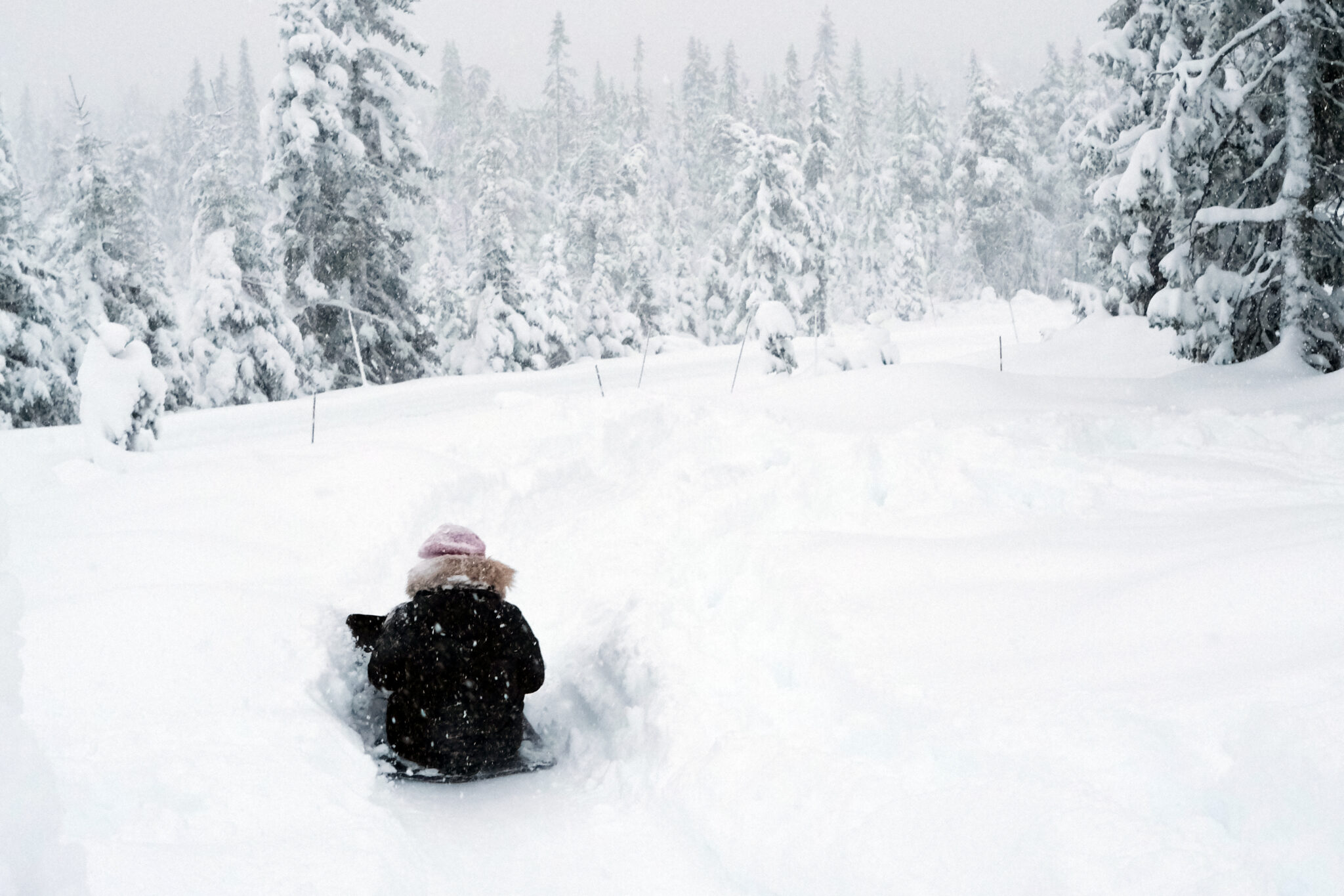 Read more about the article Røde Kors: Husk på dem som gruer seg til å være alene