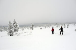 Read more about the article Røde Kors: – Vi er lettet over at inngangen ikke ble like dramatisk som i fjor