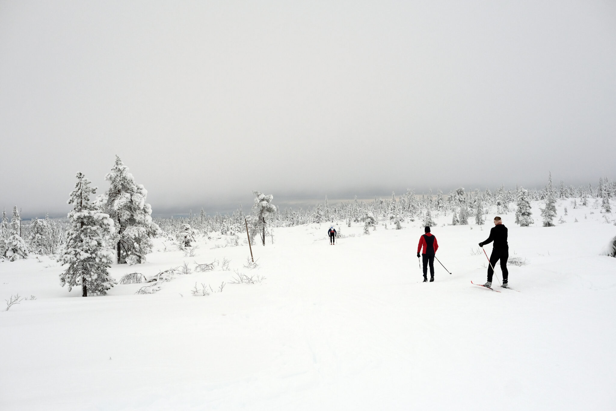 Read more about the article Kom deg ut-dagen: – Inspirasjon til utelek og friluftsliv