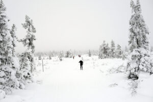 Read more about the article Få skader i påskefjellet: Mange er godt forberedt og viser fjellvett