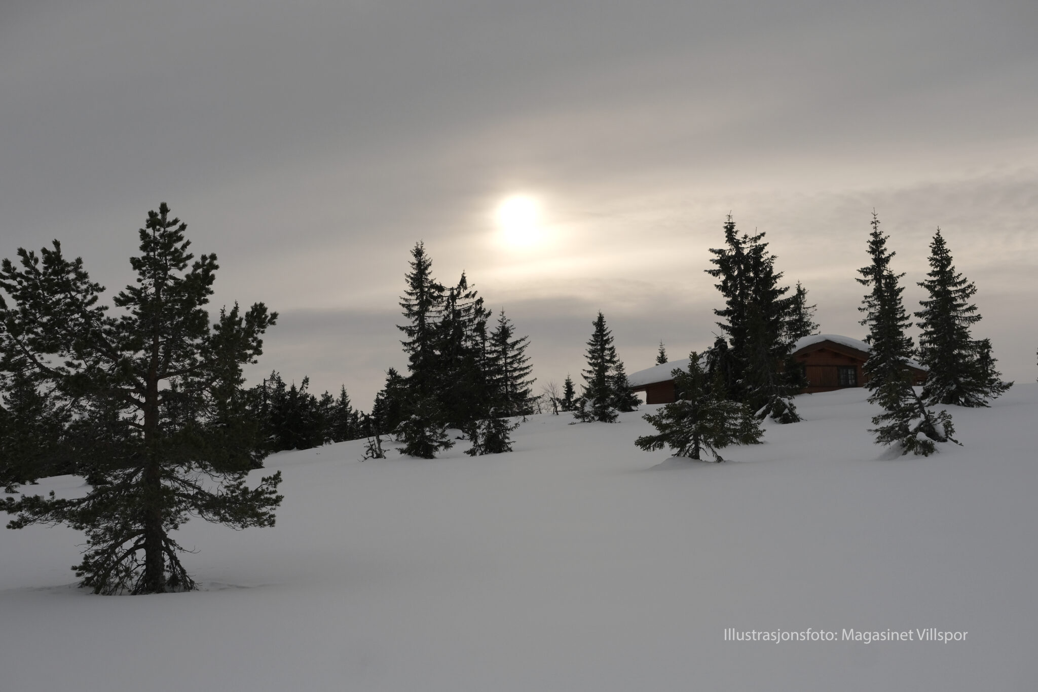 Read more about the article Vinterferie? Fjellstyrenes hytter og koier er ledige