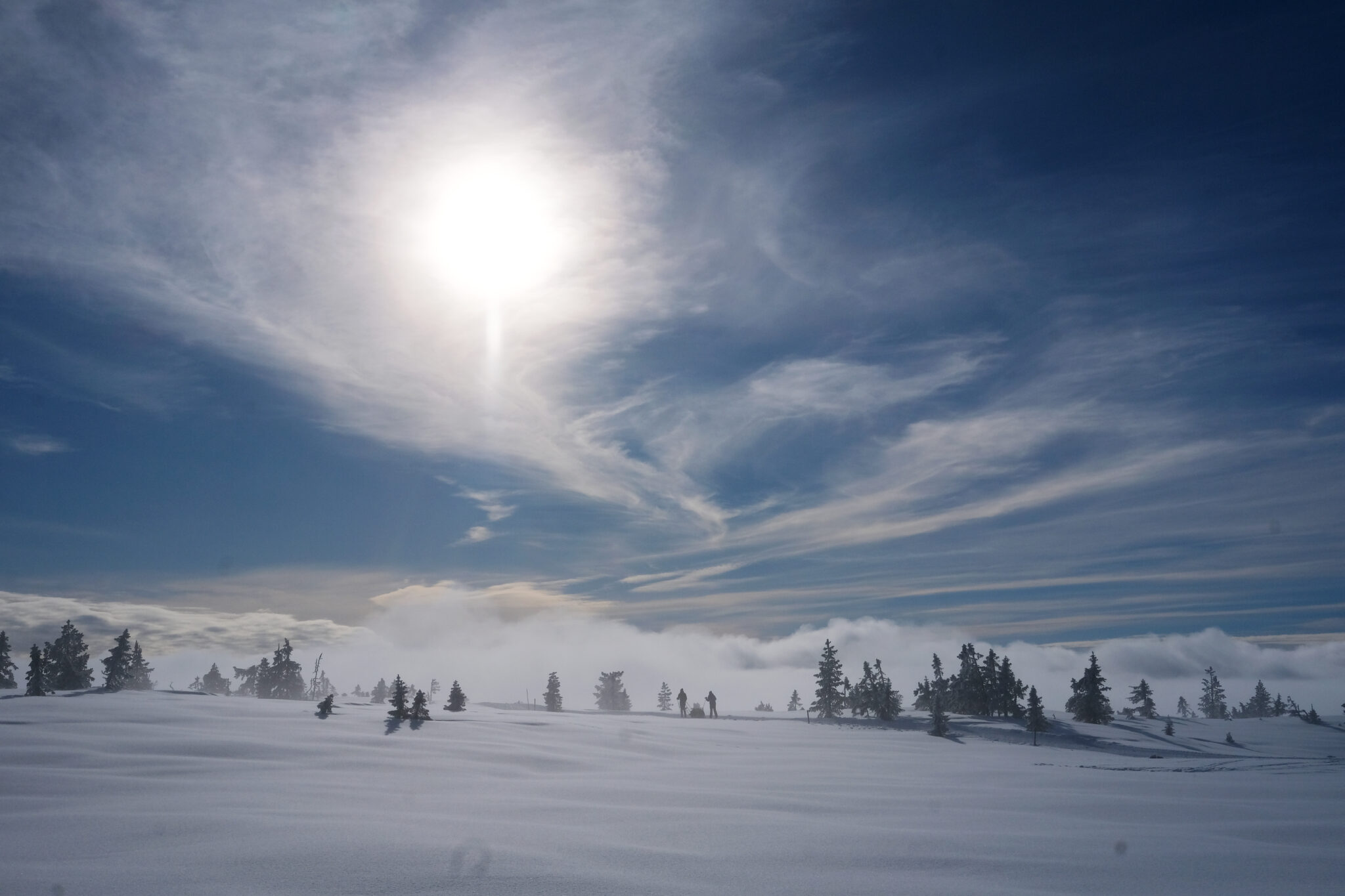 Read more about the article Syns du vinteren var lang? Det er helt riktig