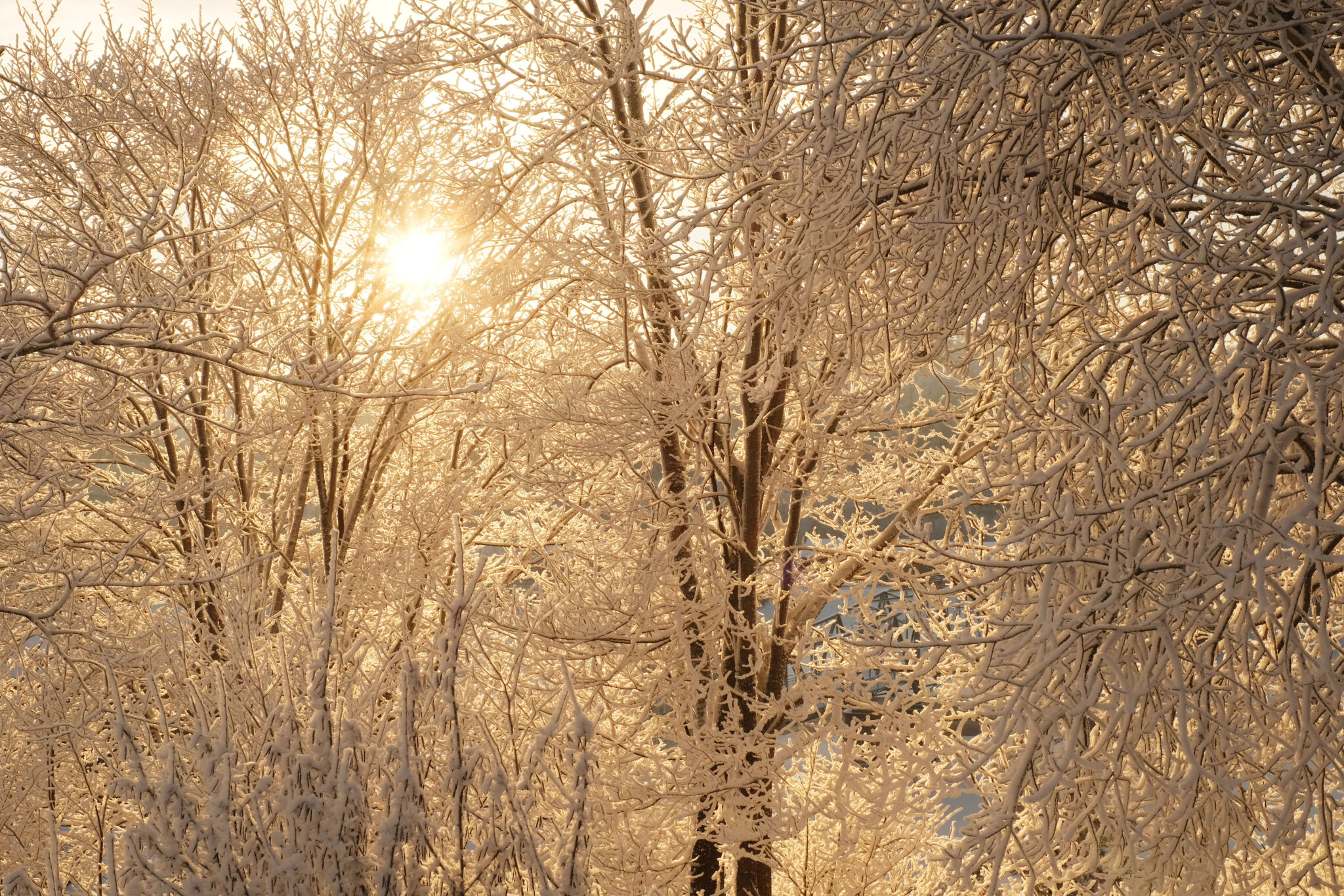 Read more about the article Februar 2024: Over 300 prosent av de normale snømengdene