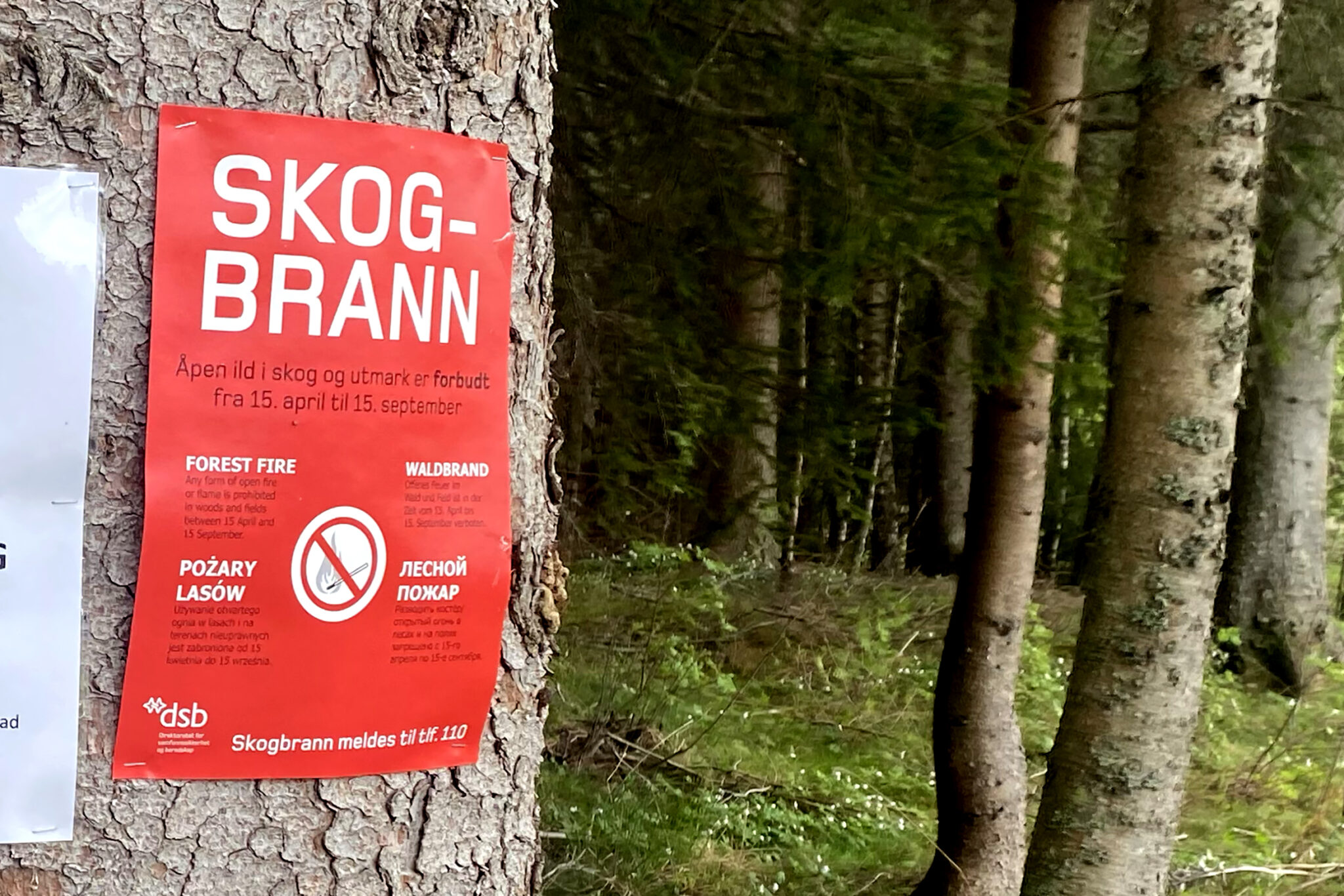 Read more about the article Høysesong for skog- og gressbrann: – I verste fall kan det stå om liv og helse