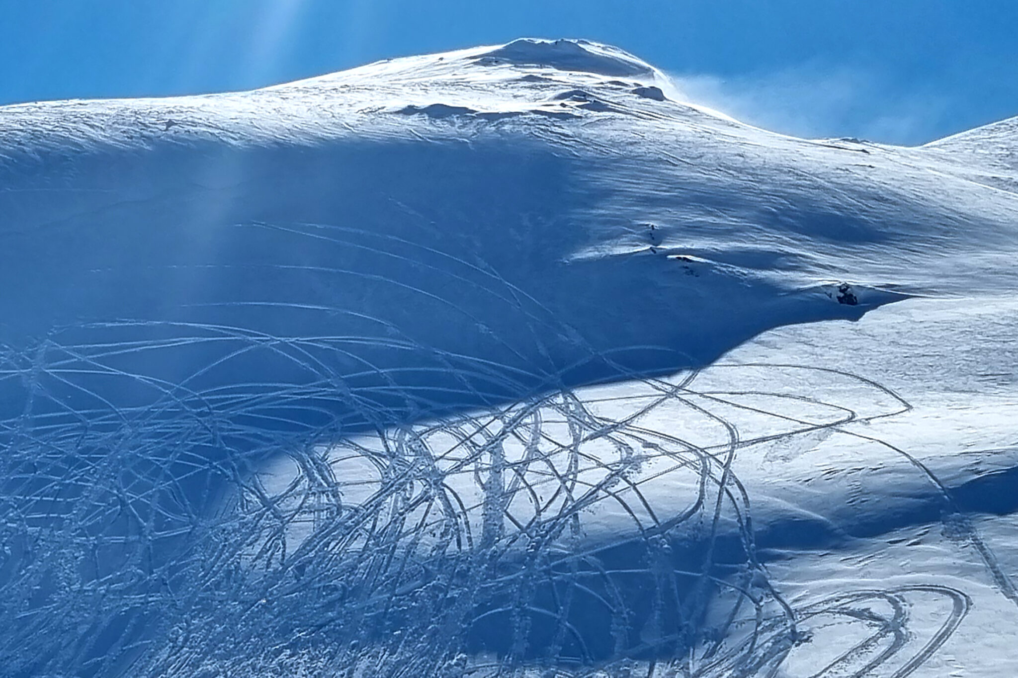 Read more about the article Snøskuterførere tatt i villreinområde: – Vi ser svært alvorlig på overtredelser