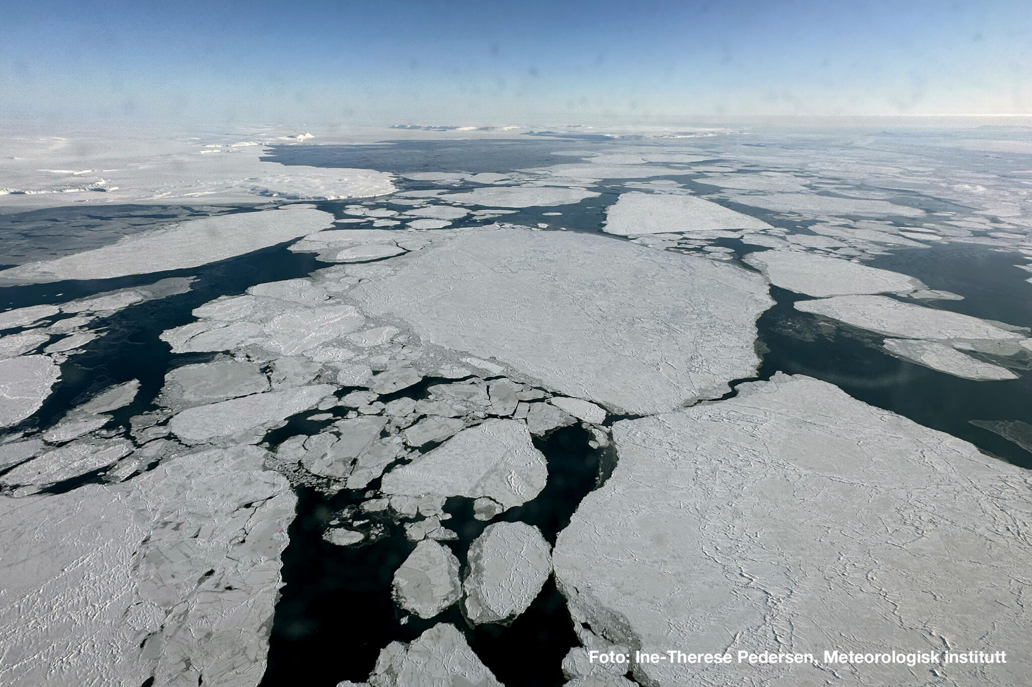 Read more about the article Ekstremår for sjøisen: Isbjørnen på Svalbard tilpasser seg