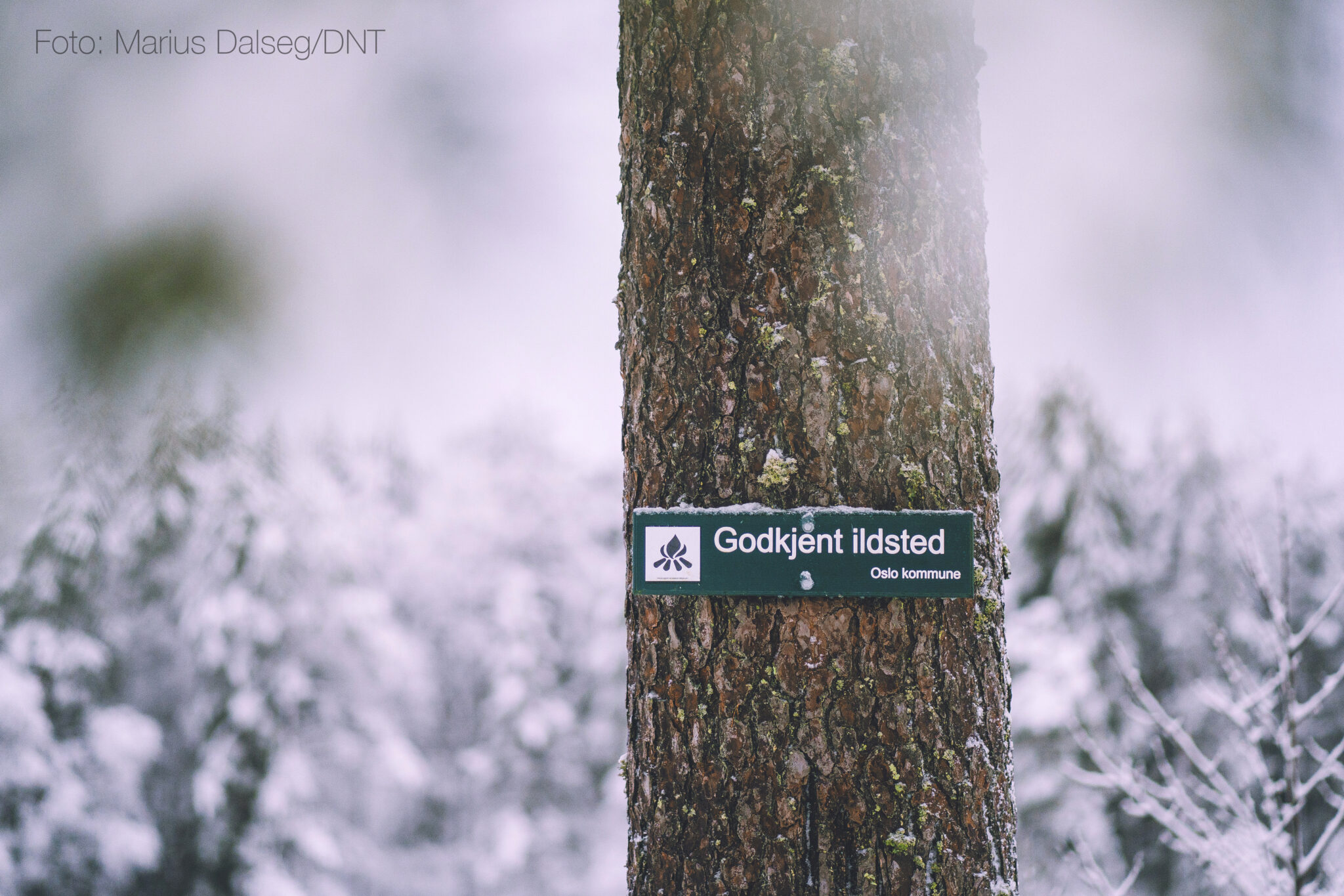 Read more about the article Stor oversikt: Slik finner du nærmeste bålplass